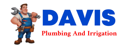 Trusted plumber in CAMAS